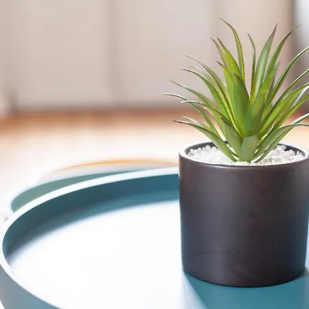 Avec Garage Prive - Latre Location * Lourdes