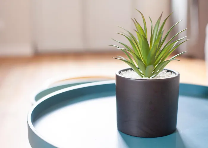 Florence Et Nadine - Latre Location * Lourdes